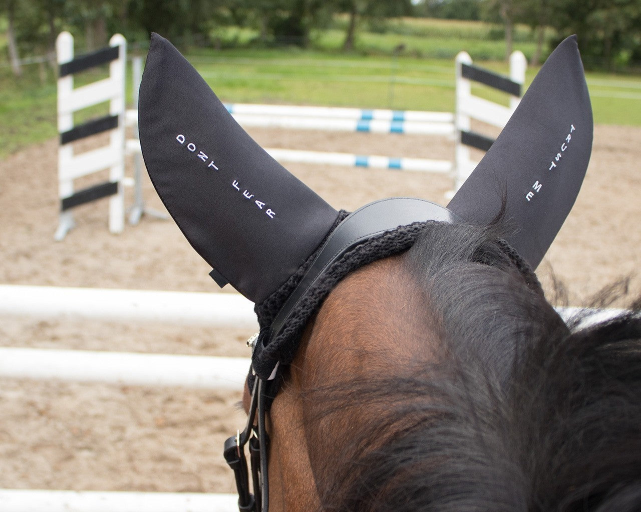 Ear net 'Keep calm and focus' - Nags Essentials