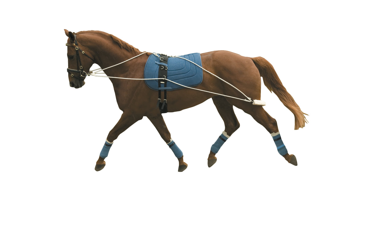 Kincade Lunging Training System - Nags Essentials