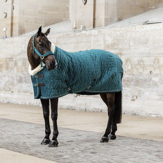 Kentucky Velvet Show Rug