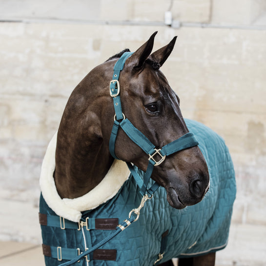 Kentucky Velvet Show Rug
