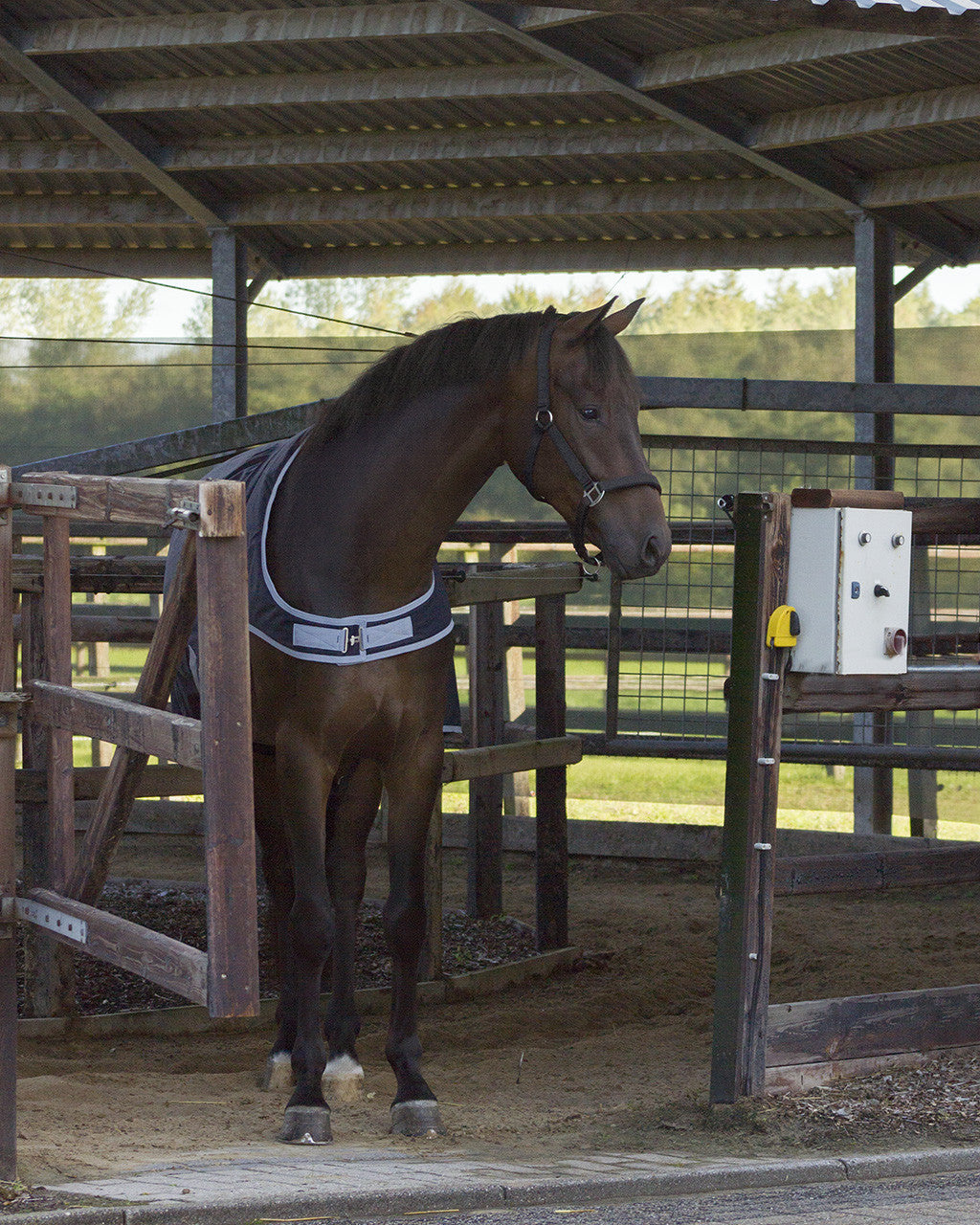 Walker Rug Waterproof 1200D 200g - Blue