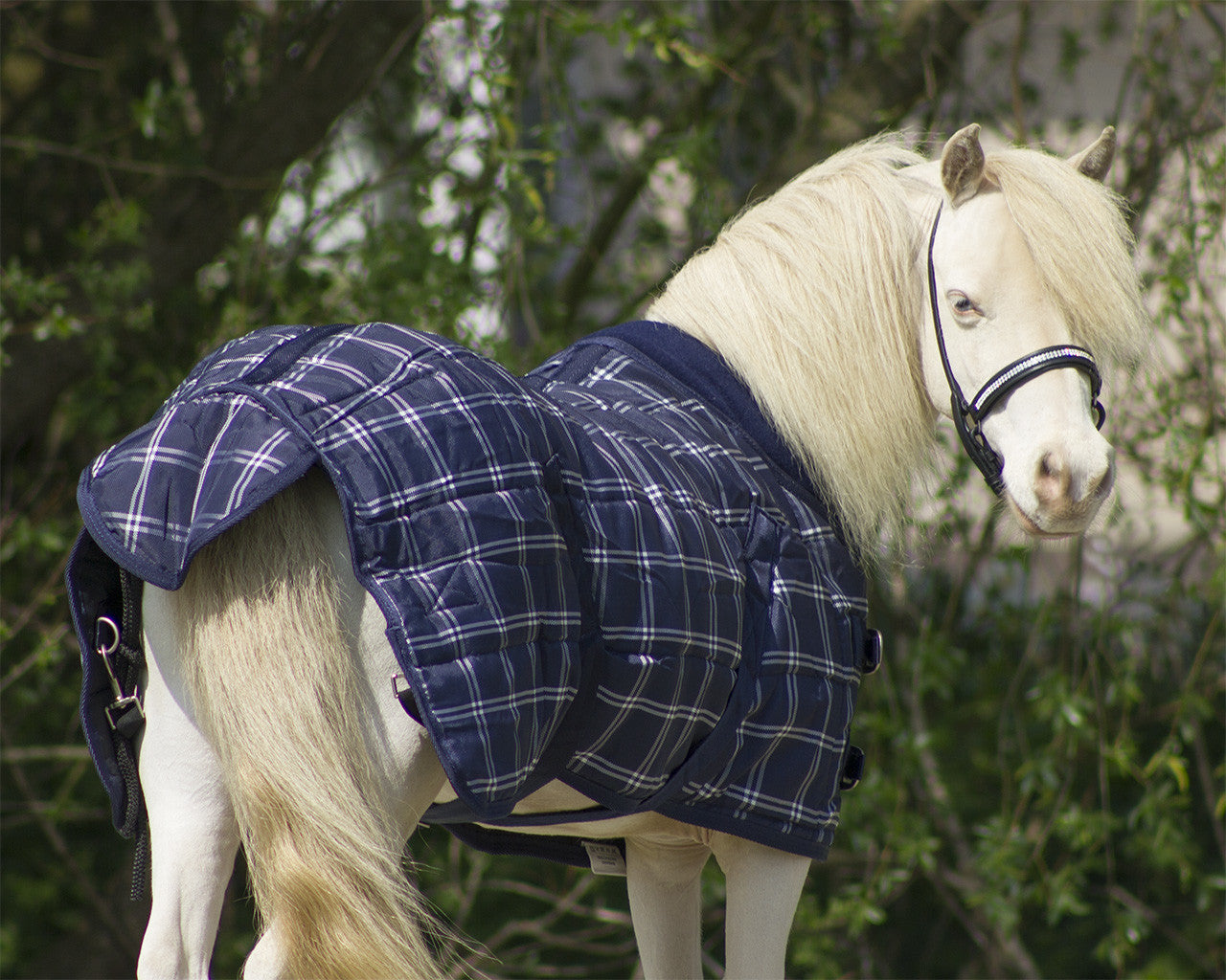 Falabella Stable Rug 200g - Blue Check