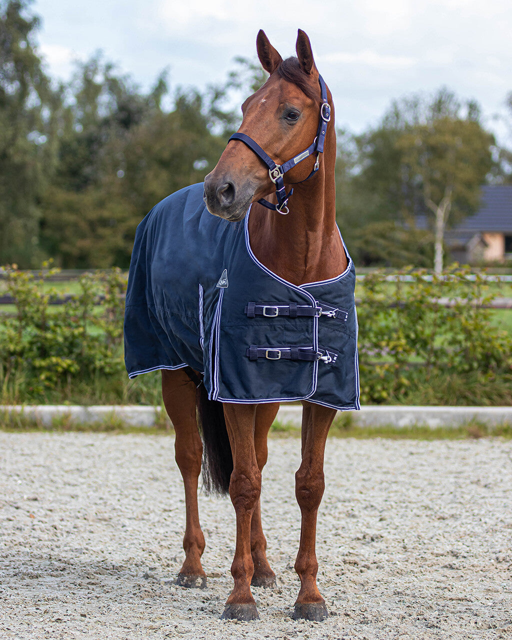 Luxury 0g Turnout Rug - Navy