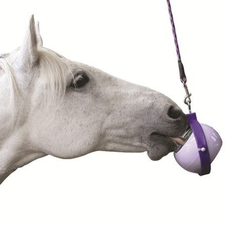 Likit Boredom Buster - Nags Essentials