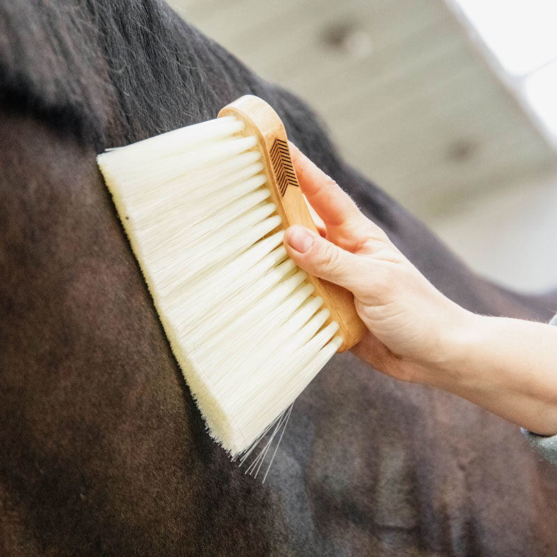 Grooming Deluxe Middle Brush Long