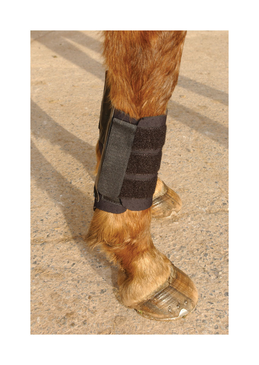 KITT Kool Brushing Boot - Nags Essentials