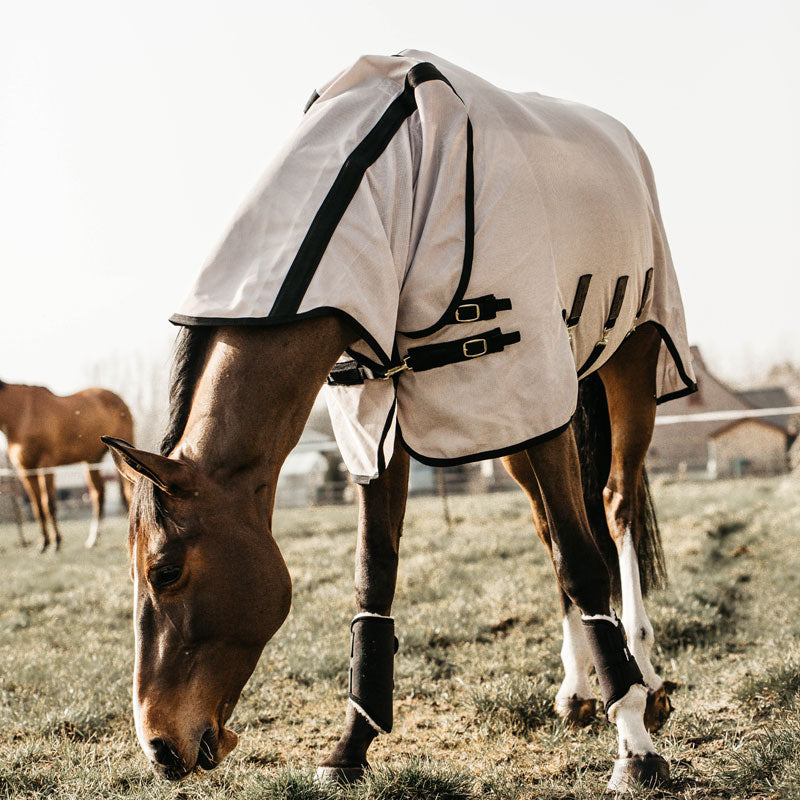 Kentucky Mesh Fly Rug