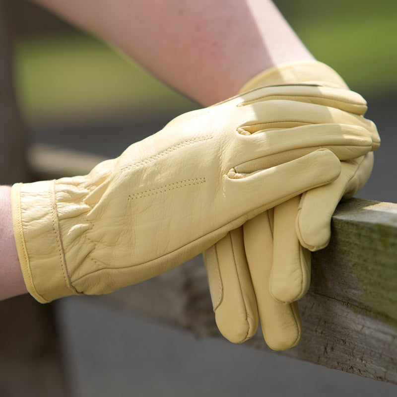 Equetech Leather Show Gloves - Nags Essentials