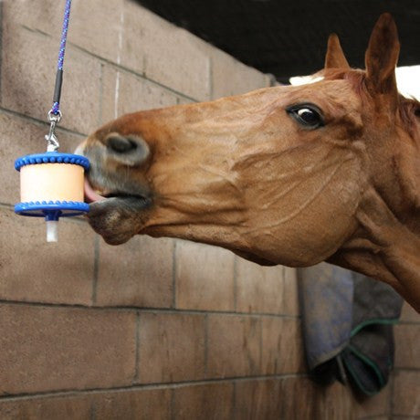 Likit Holder - Nags Essentials