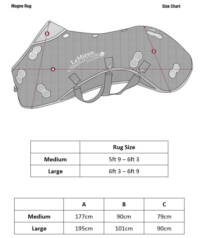 LeMieux Conductive Magno Rug - Nags Essentials