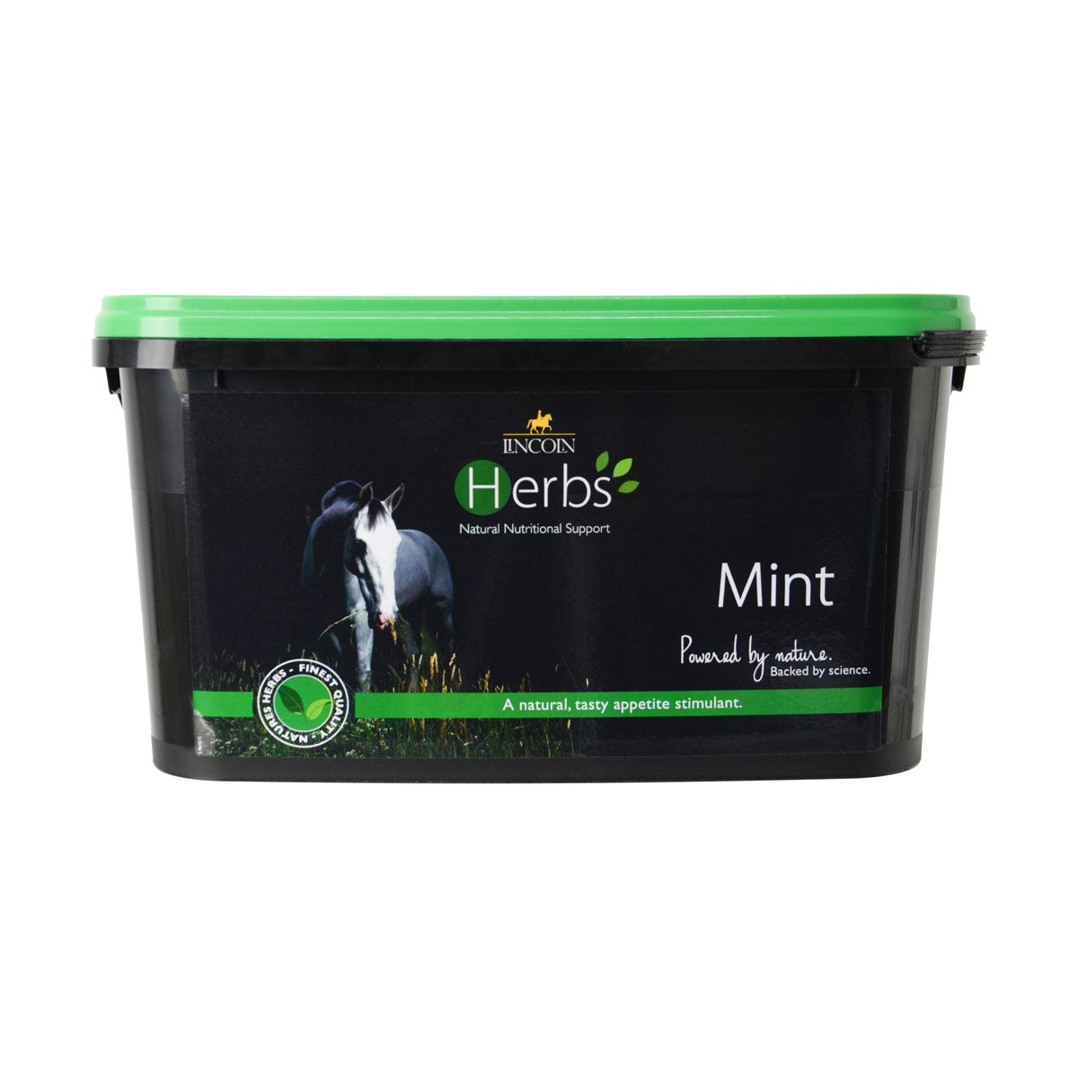 Lincoln Herbs Mint - Nags Essentials