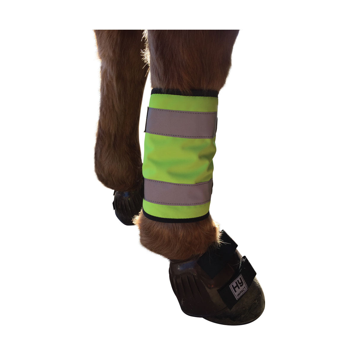 Reflector Horse Leg Wraps