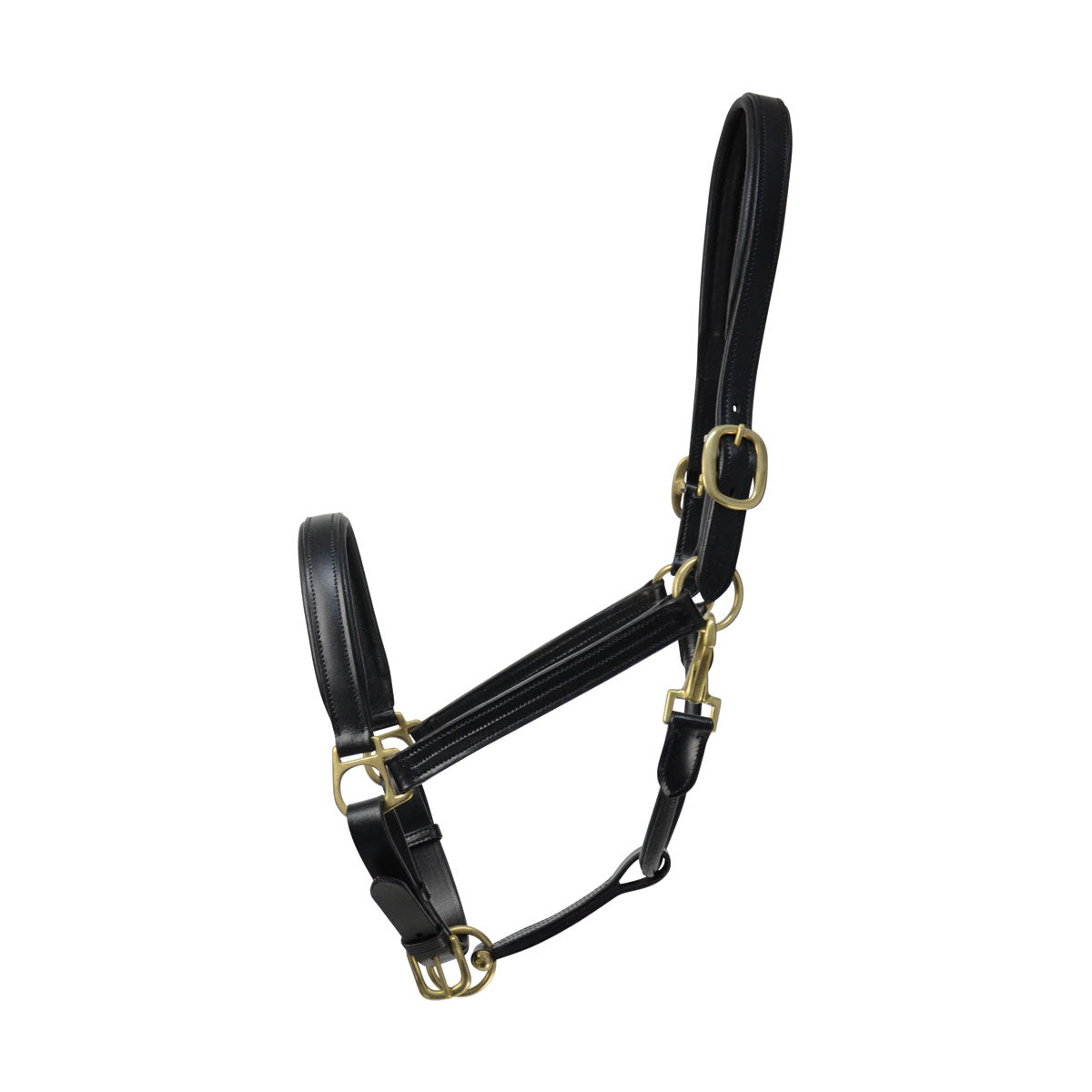 Coldstream Leather Padded Headcollar - Nags Essentials