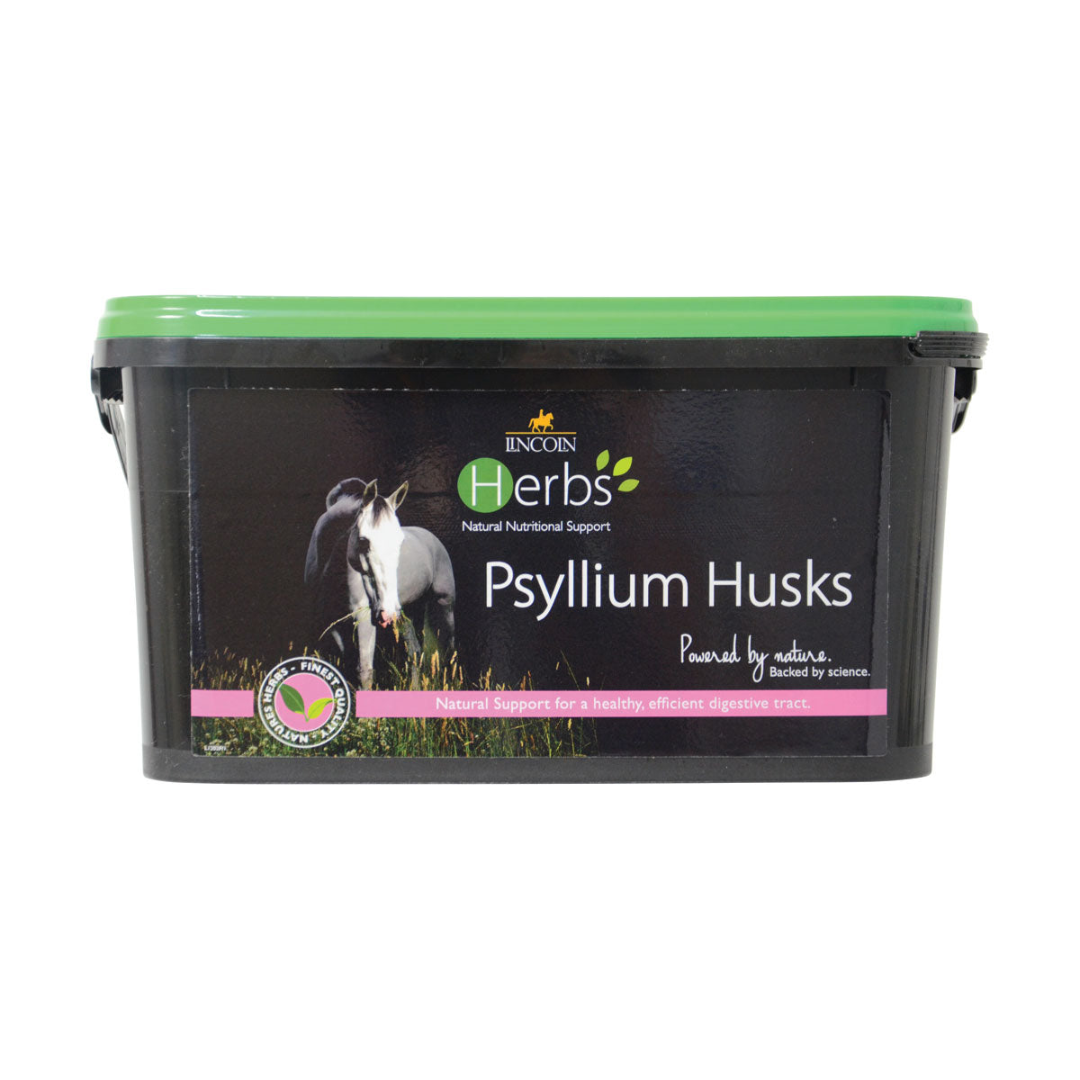 Lincoln Herbs Psyllium Husks - Nags Essentials