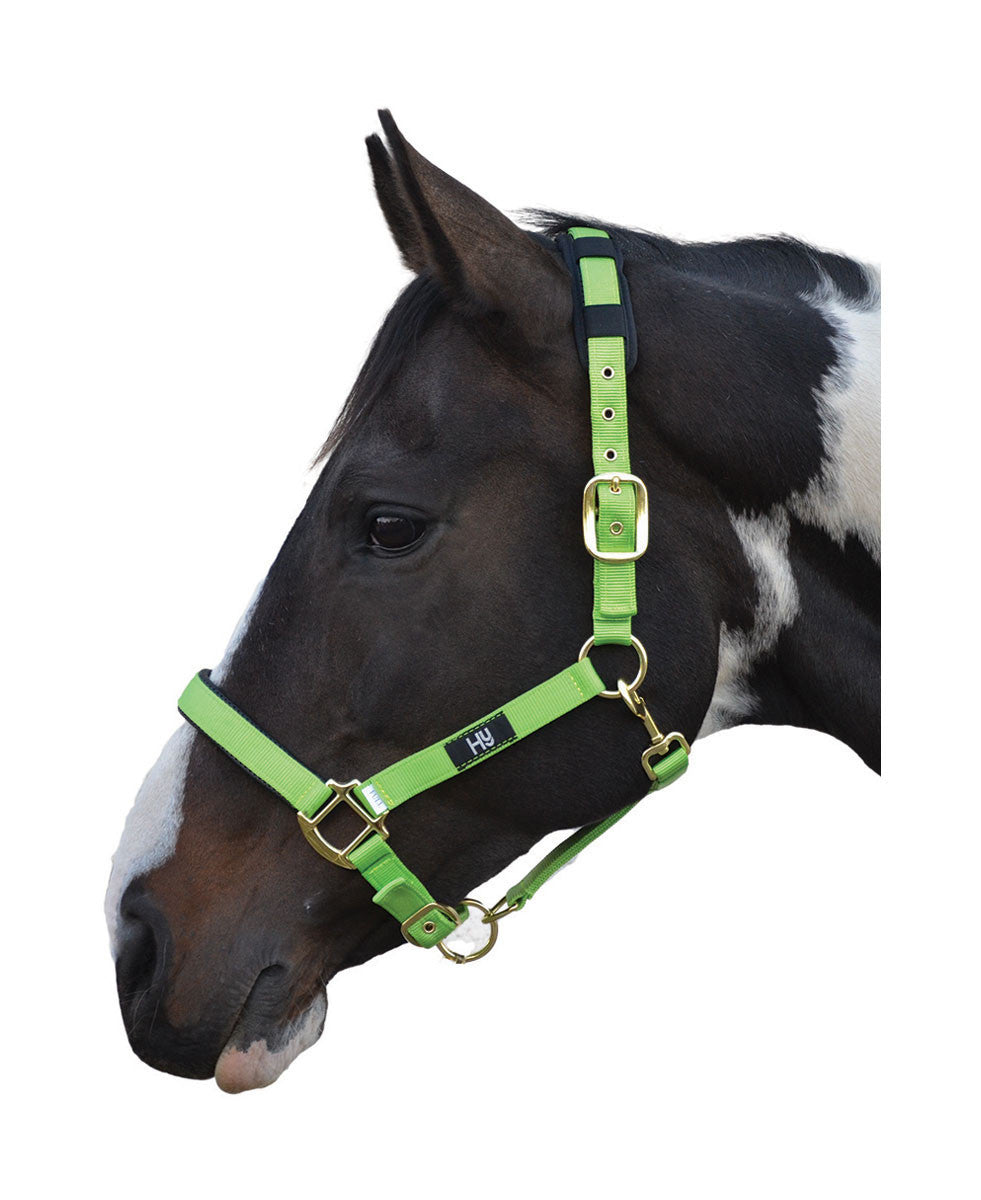 Hy Deluxe Padded Head Collar - Nags Essentials