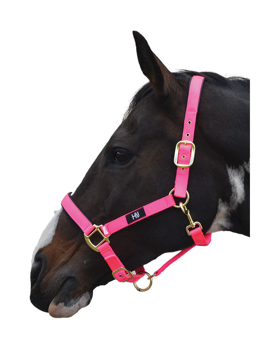 Hy Grand Prix Head Collar - Nags Essentials