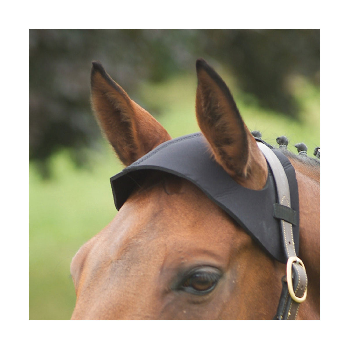 Hy Poll Guard - Nags Essentials