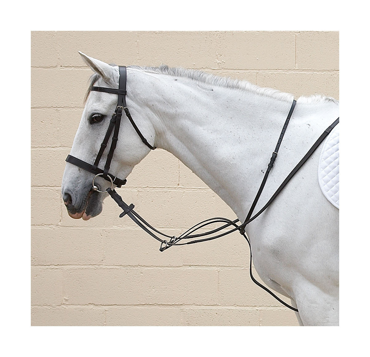 Hy Running Martingale - Nags Essentials