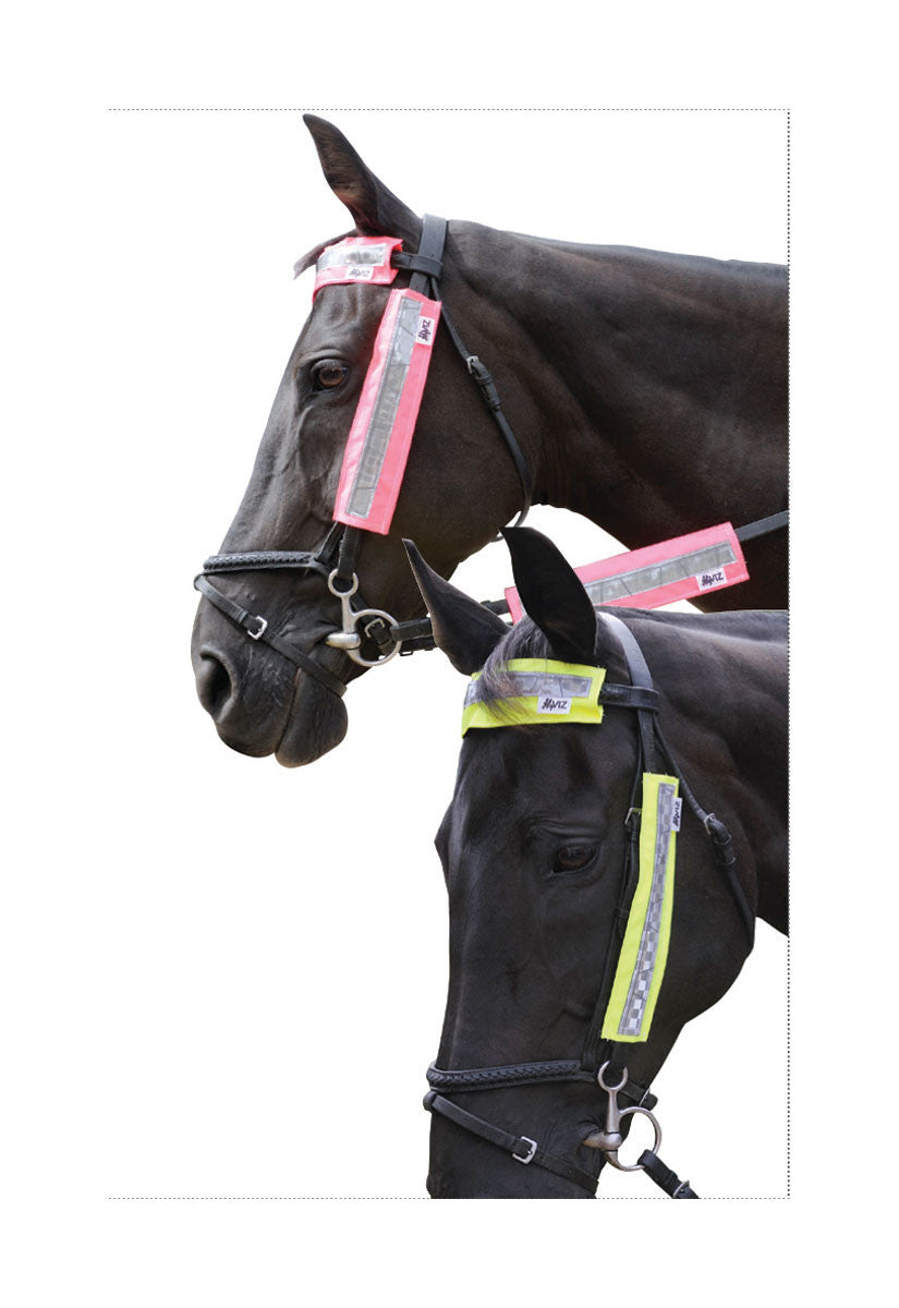 HyVIZ Bridle Set - Nags Essentials