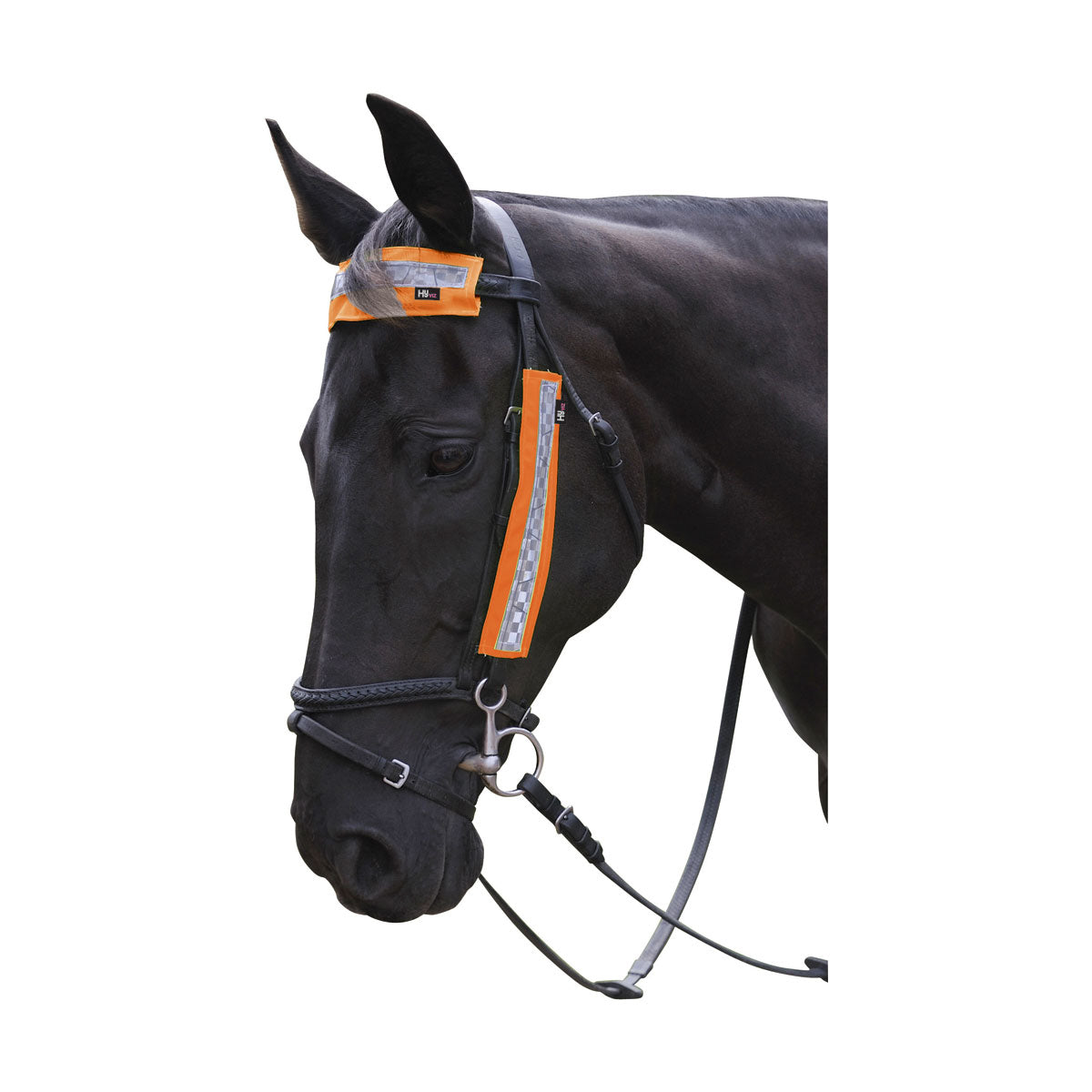 HyVIZ Bridle Set - Nags Essentials