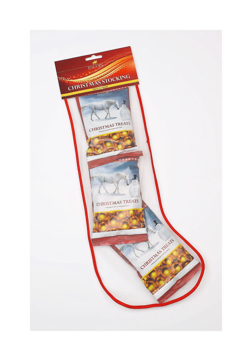 Lincoln Christmas Stocking - Nags Essentials
