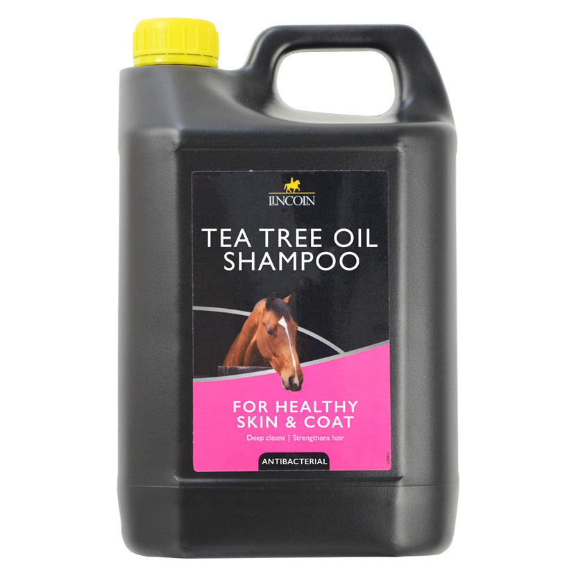 Lincoln Tea Tree Oil Shampoo - Nags Essentials