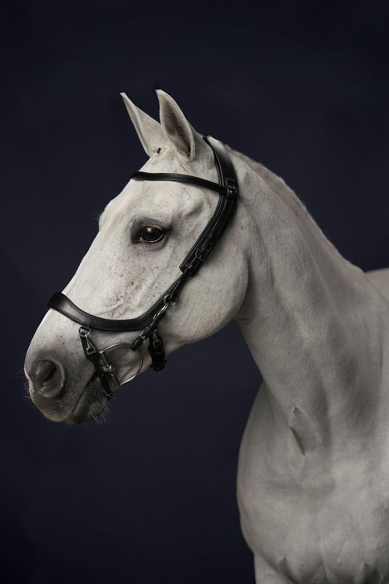 PresTeq FaySport Anatomical Bridle - Nags Essentials