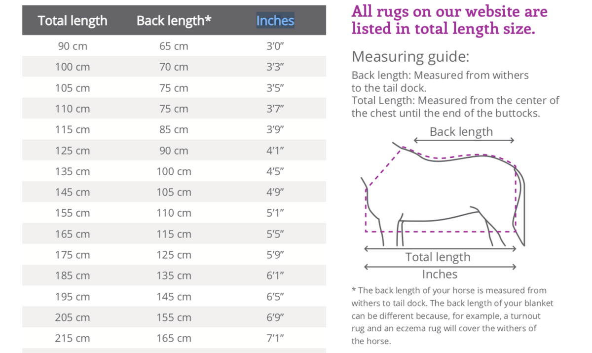 Exercise Fly Sheet with Fringes - Nags Essentials