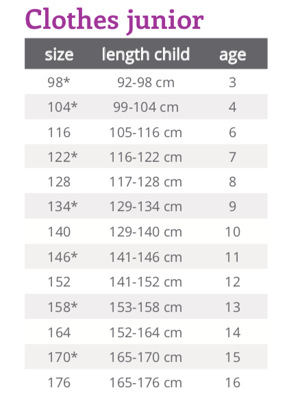 Junior Leather Seat Breeches - Nags Essentials