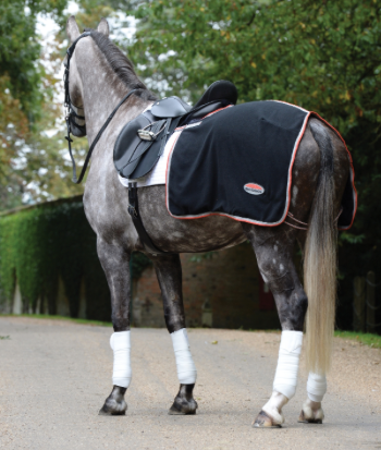 Weatherbeeta Therapy - Quarter Sheet - Nags Essentials