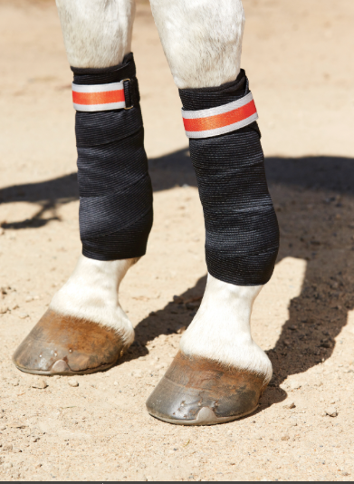 Weatherbeeta Therapy Tec Support Bandages - Nags Essentials