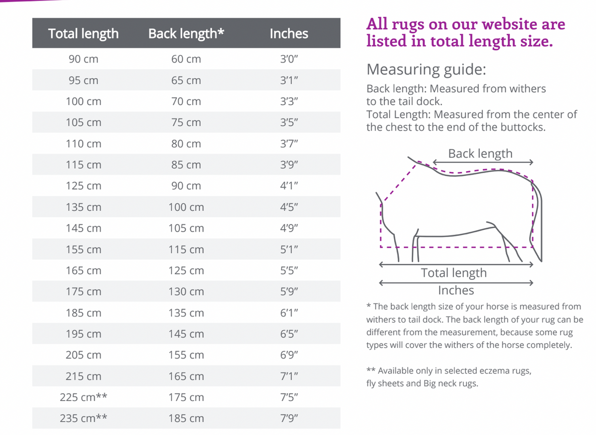 Fly Driving Rug with neck cover - Blue