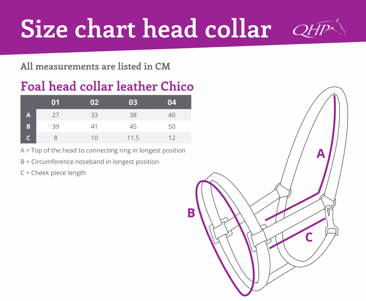Foal Head Collar Chico