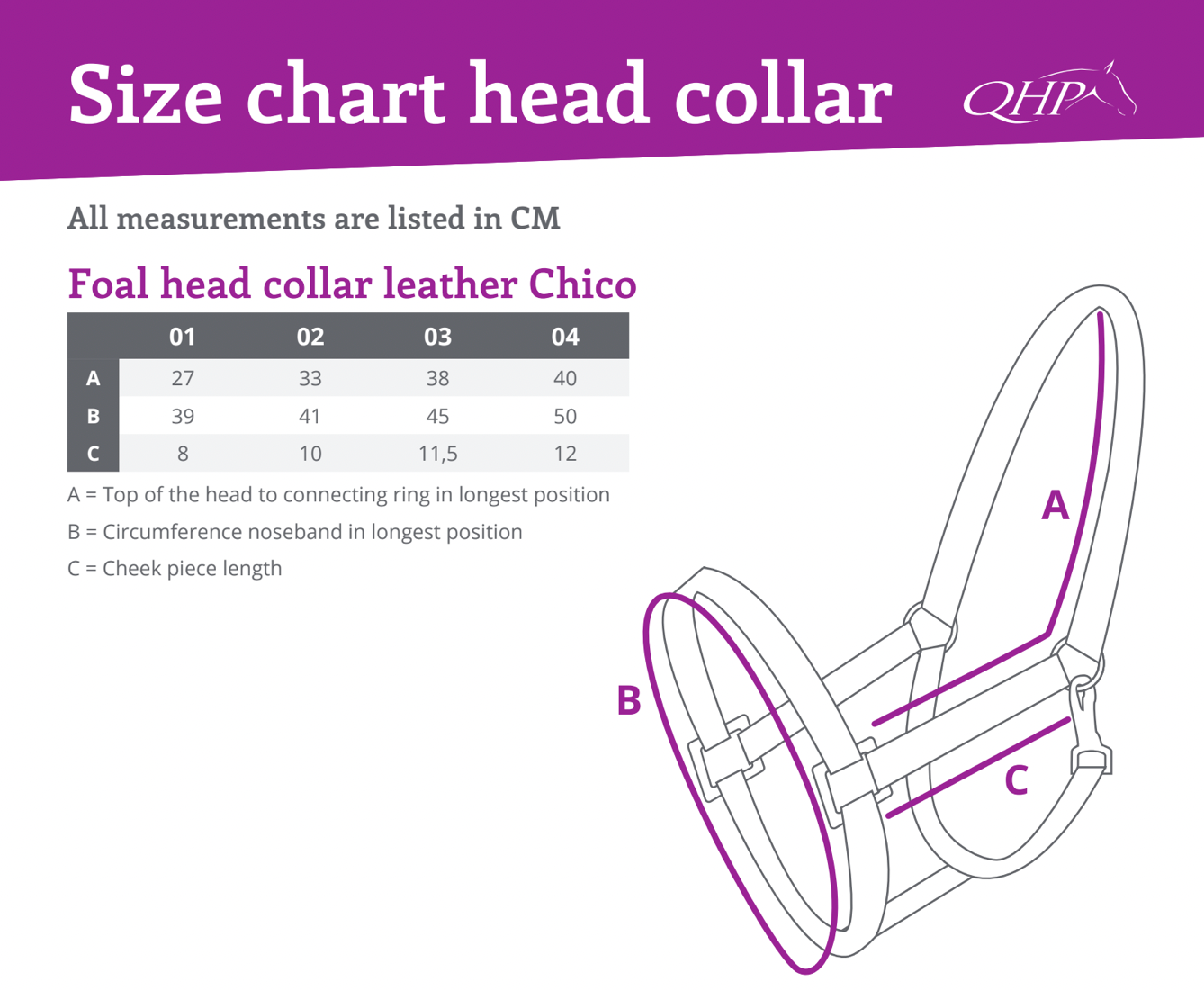 Foal Head Collar Chico