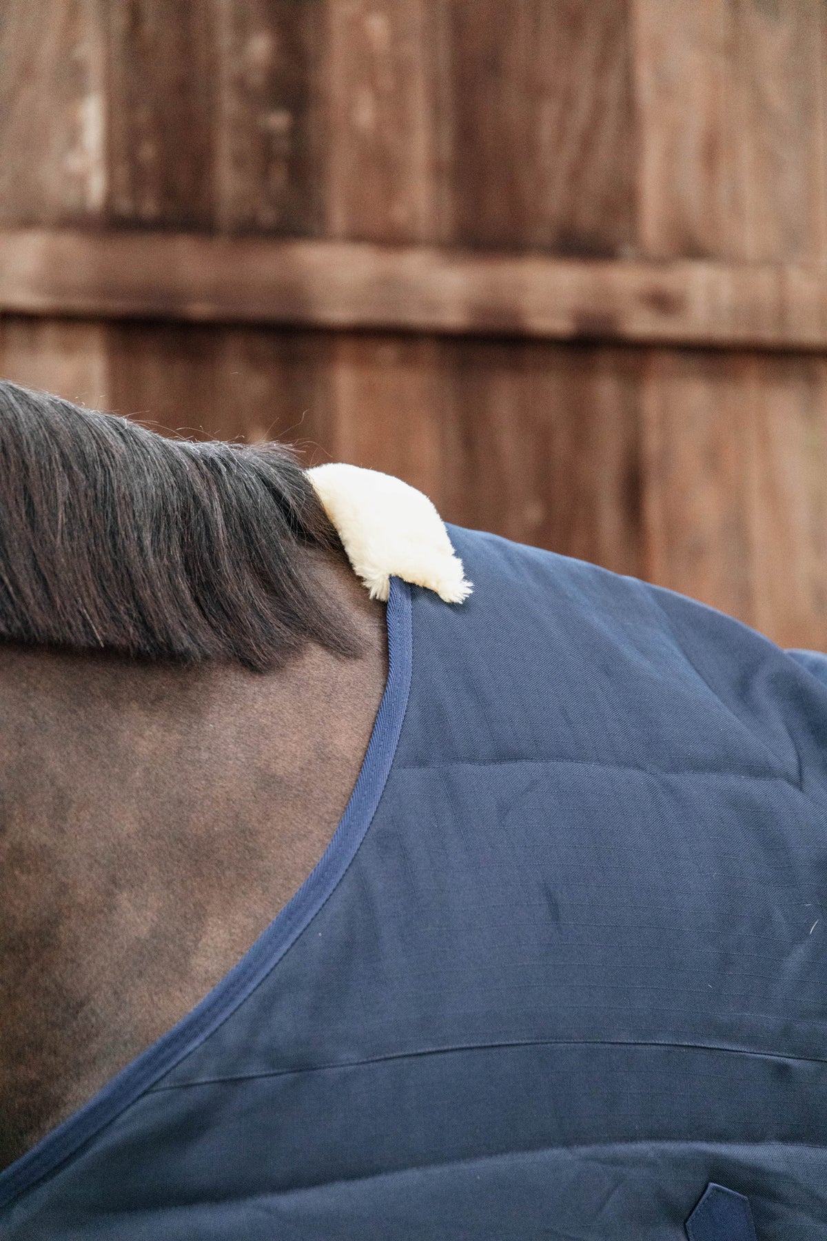 Kentucky Stable Rug Classic