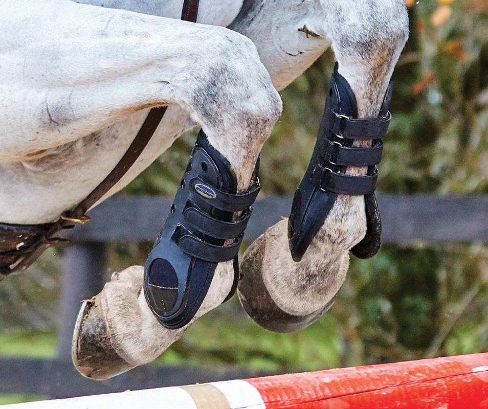 Weatherbeeta Dynamic Open Front Boots - Nags Essentials