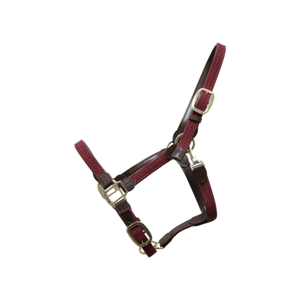 Kentucky Horsewear Plaited Nylon Halter - Nags Essentials
