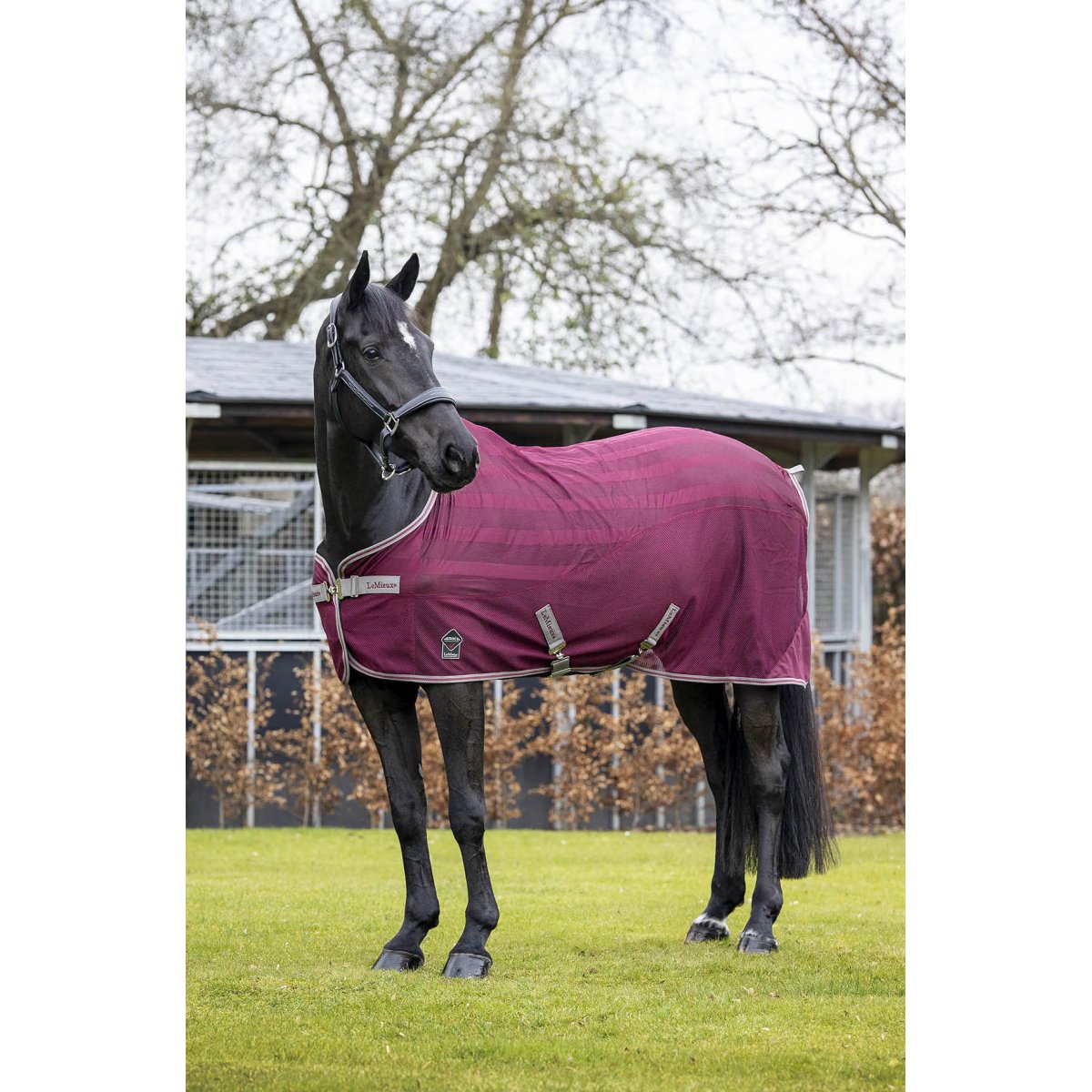 Arika Air-Tek Sheet - Nags Essentials