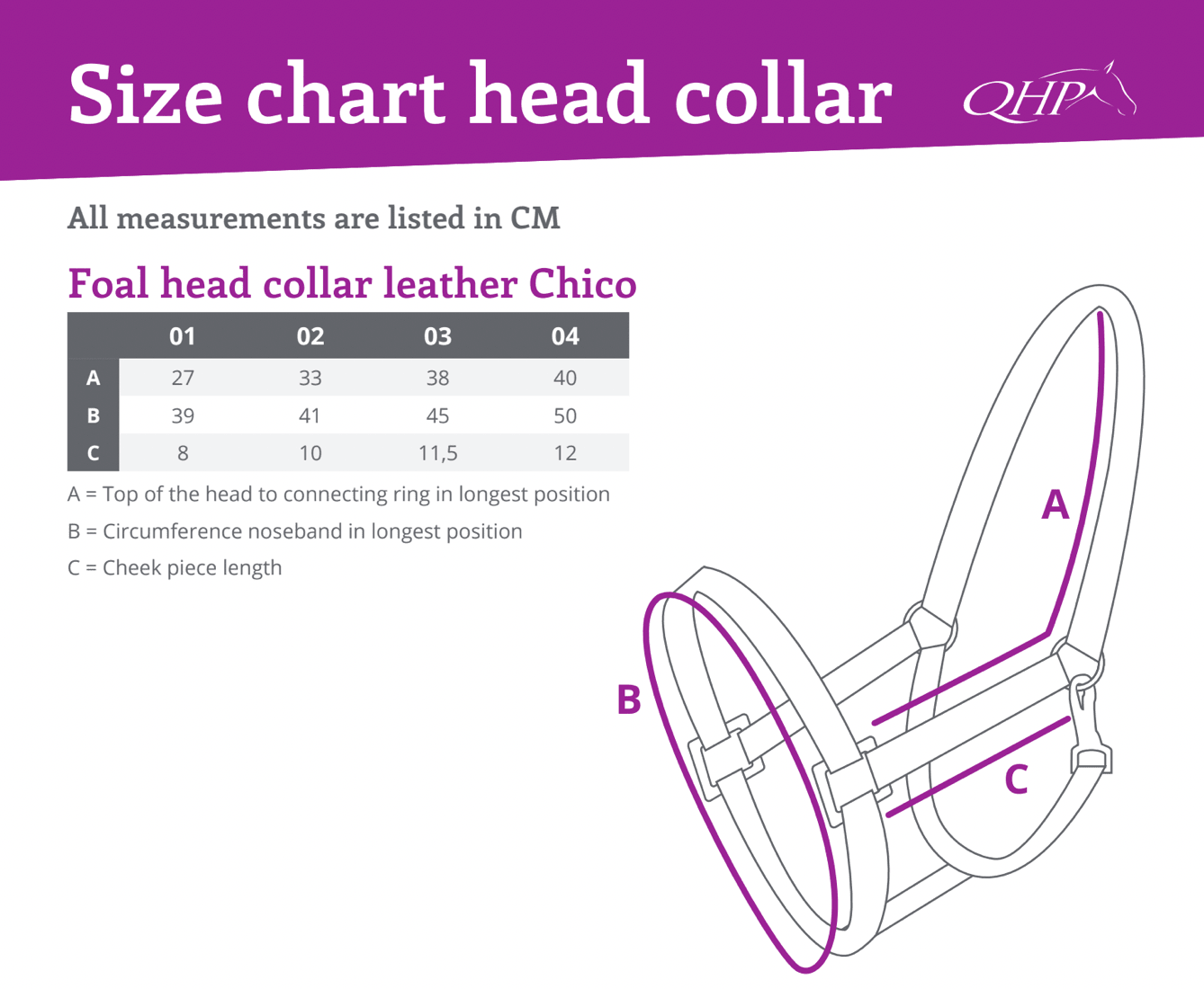 Chico Foal Headcollar - Nags Essentials