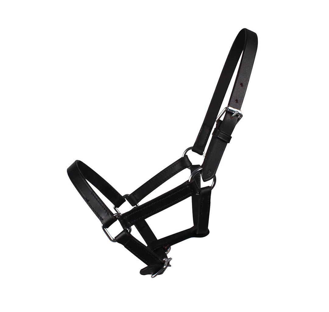 Chico Foal Headcollar - Nags Essentials