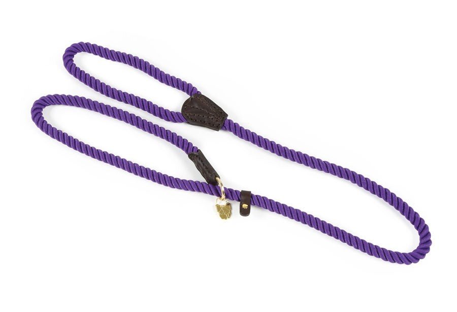 Digby & Fox Rope Slip Dog Lead - Nags Essentials