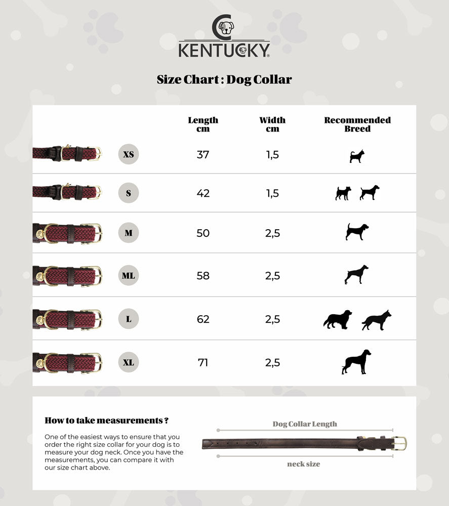 Kentucky Plaited Nylon Dog Collar