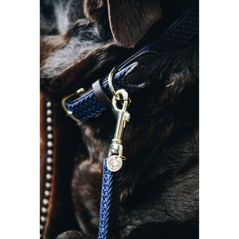 Kentucky Plaited Nylon Dog Collar