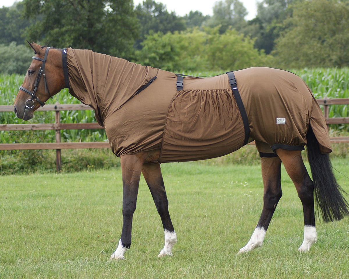 Eczema Sweet Itch Rug - Brown - Nags Essentials