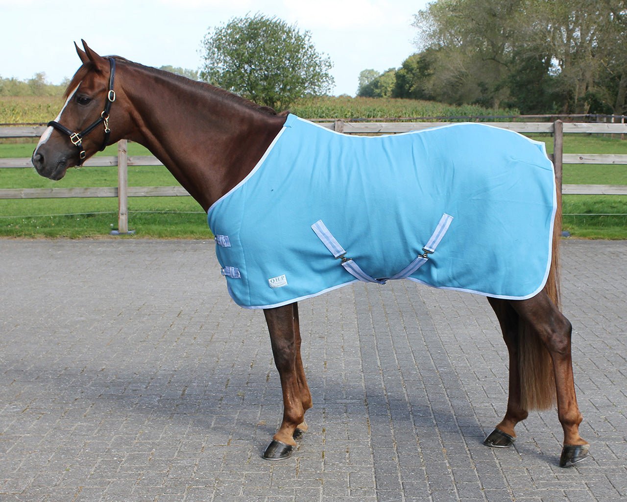 Fleece Rug - Nags Essentials