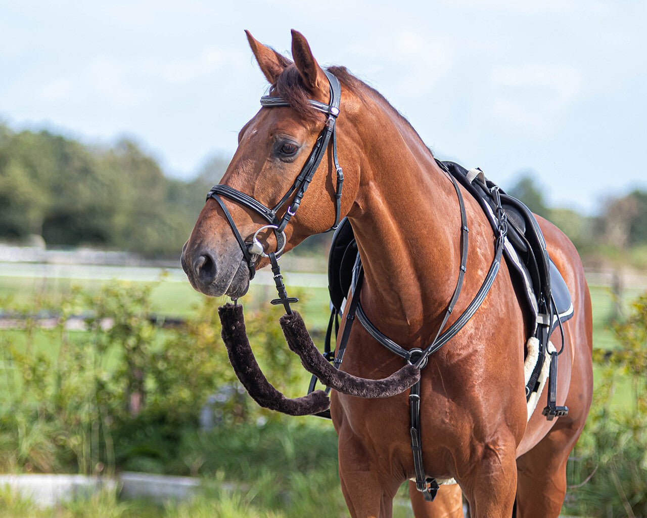 Fur Rein Covers - Nags Essentials