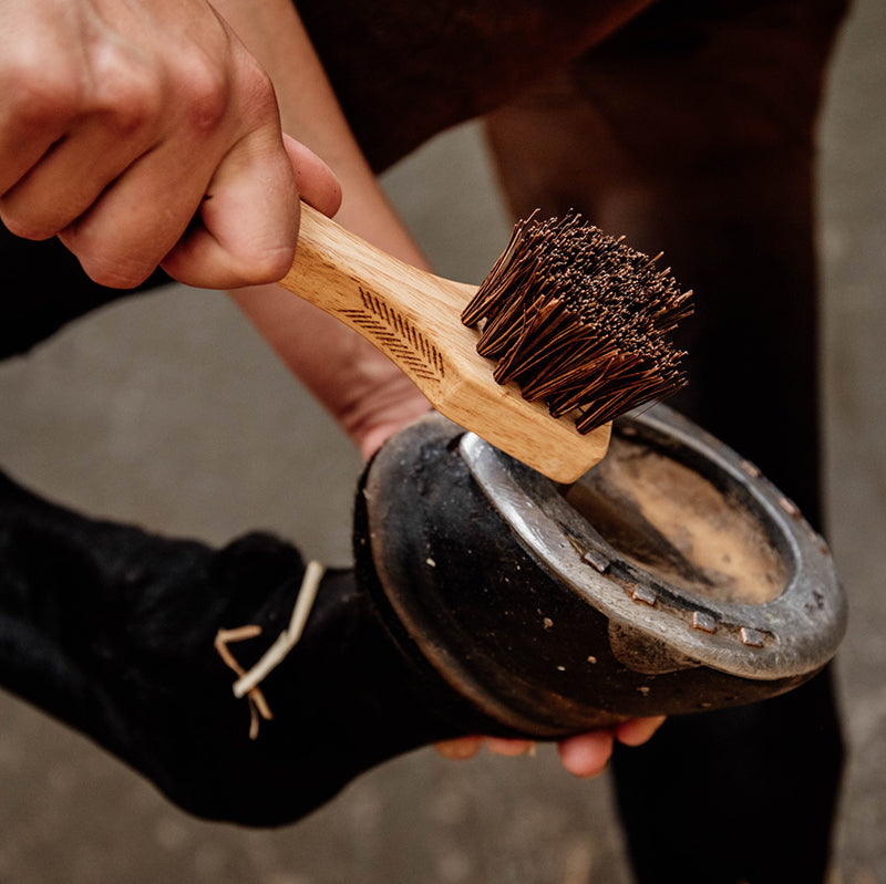 Grooming Deluxe Hoof Pick - Nags Essentials