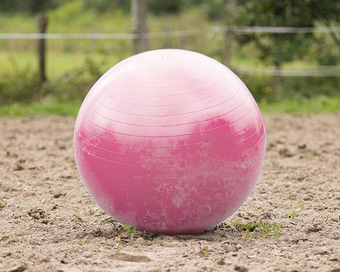 Horse Football - Nags Essentials