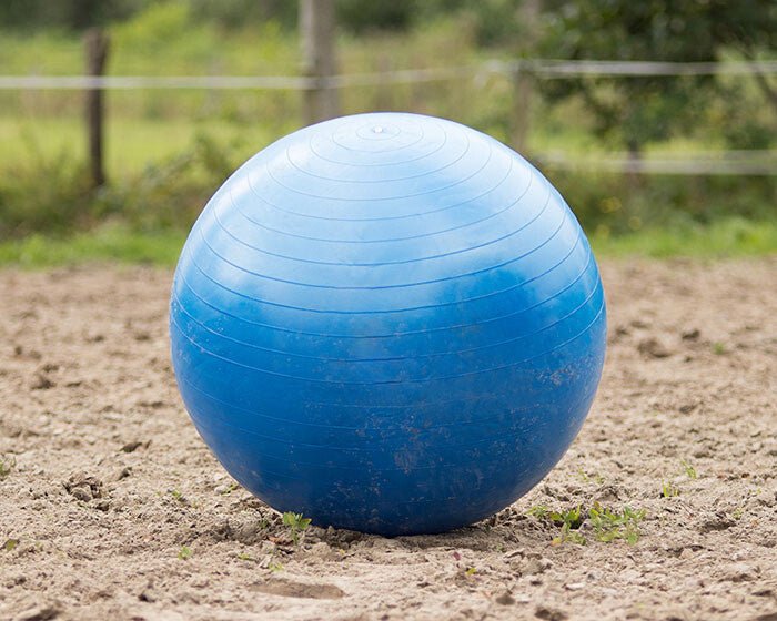 Horse Football - Nags Essentials