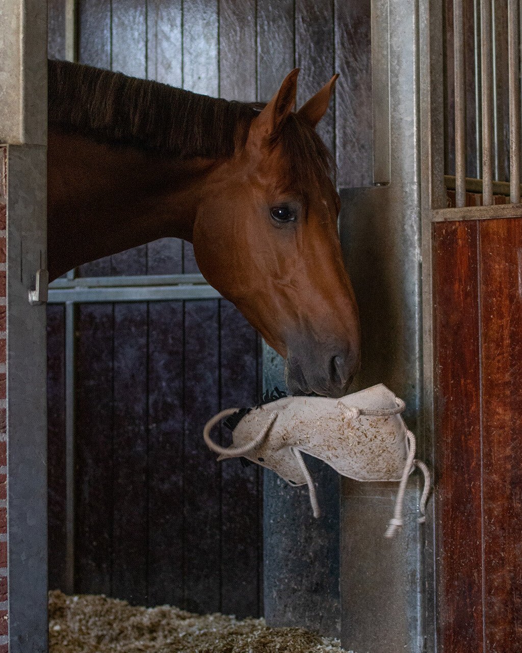 Horse Toy - Nags Essentials